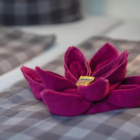 Fewo-zingst 普雷罗